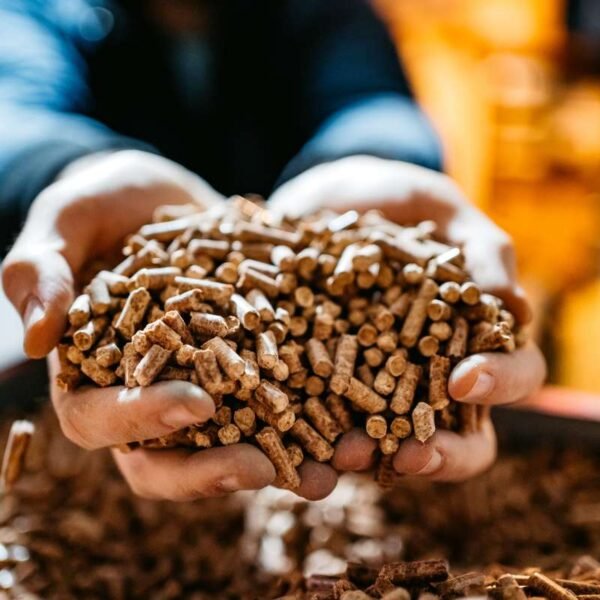 Pellets